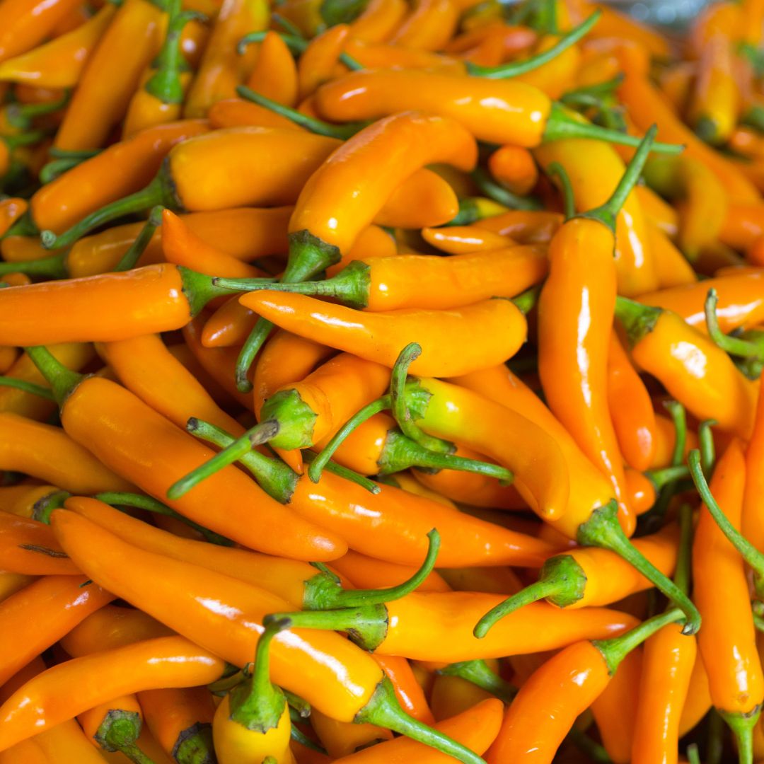 Yellow Chili Powder- 100 gms