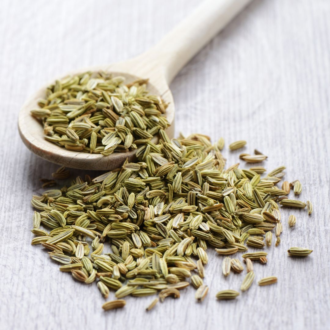 Saunf / Fennel - 100 GMs
