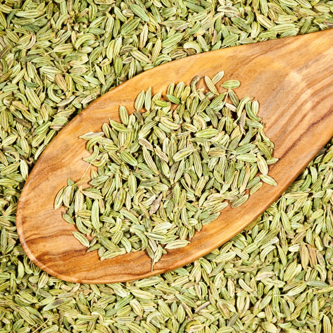 Saunf / Fennel - 100 GMs