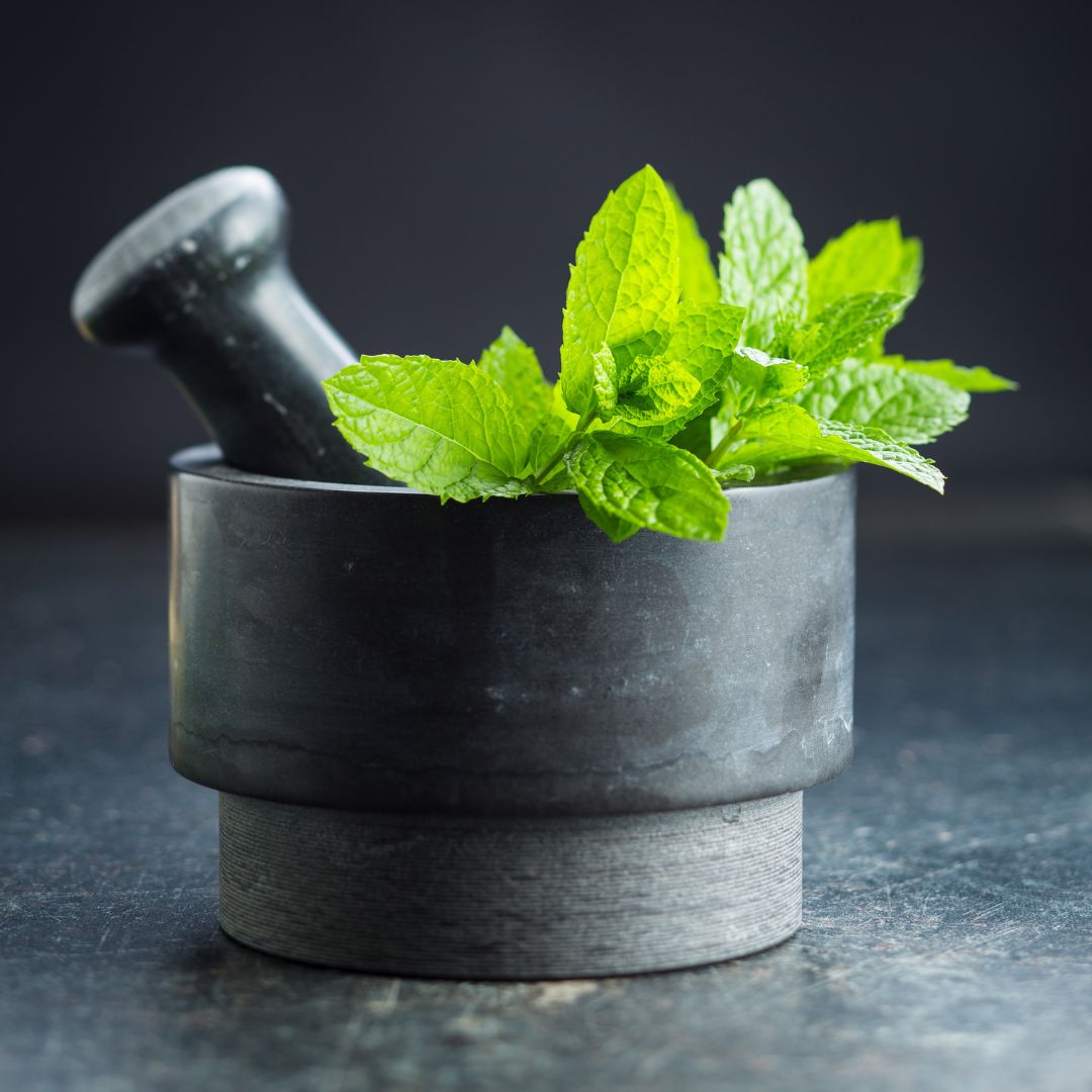 Mint Leaves - 50 gms