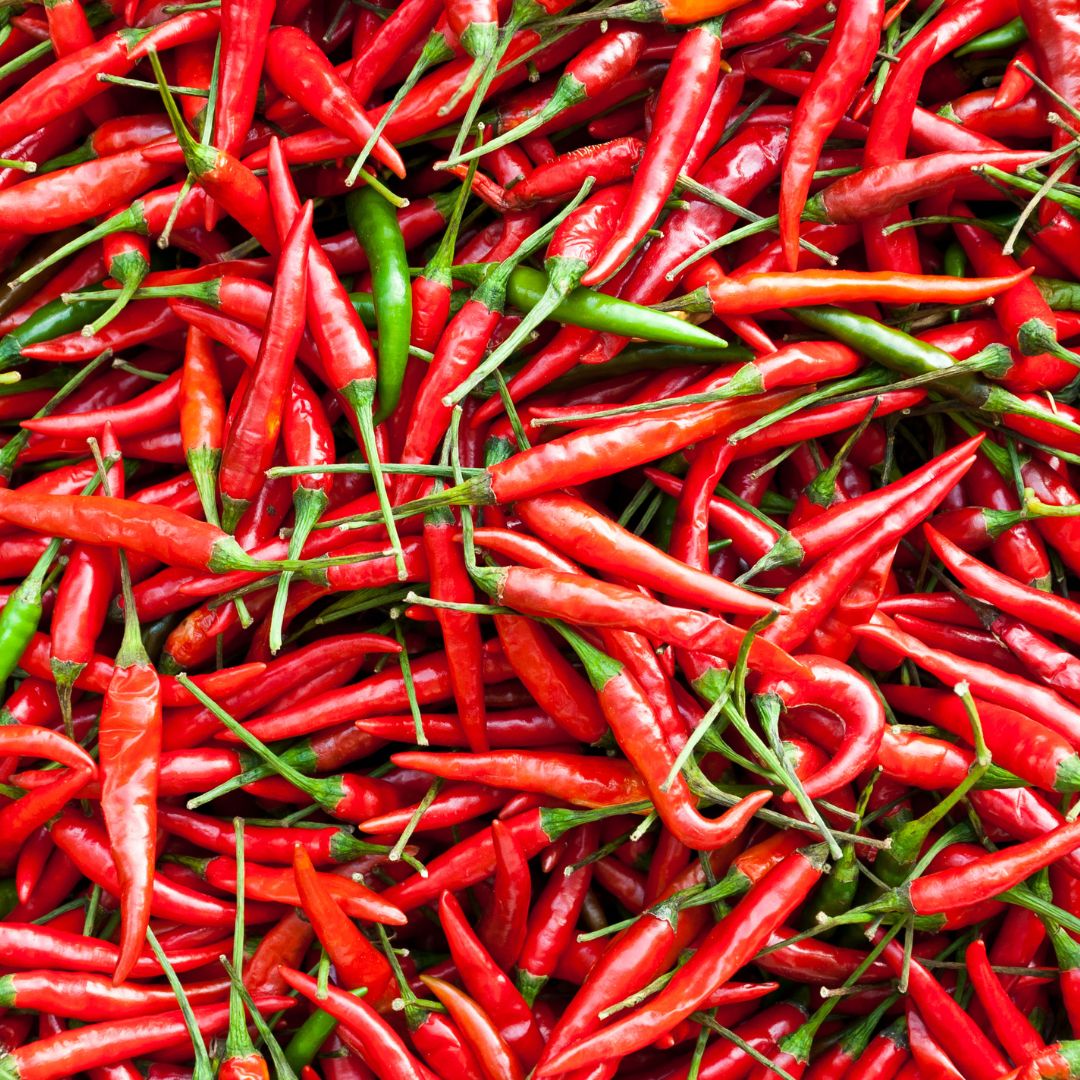 Red Chili Powder - 100 gms