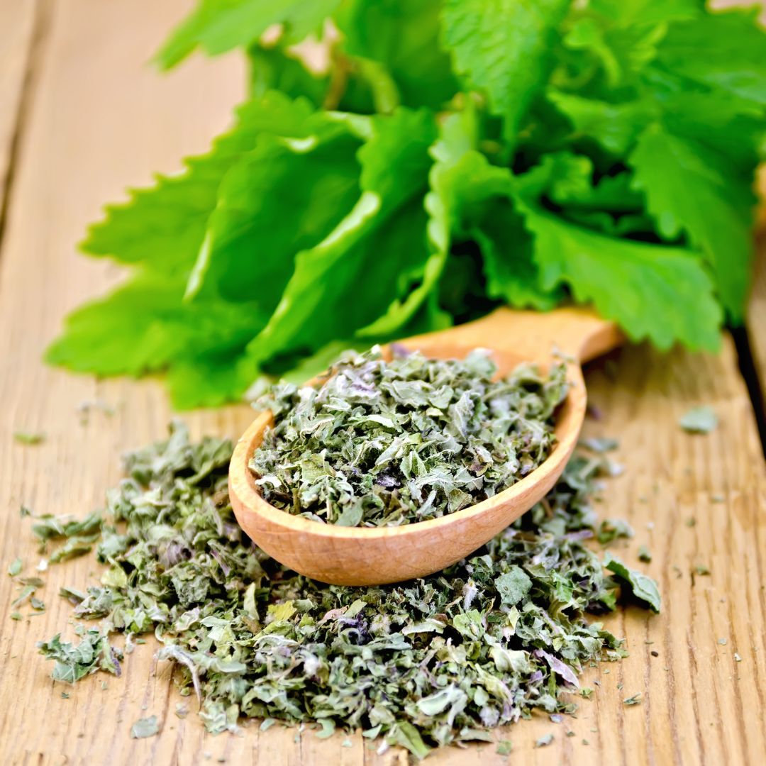 Mint Leaves - 50 gms