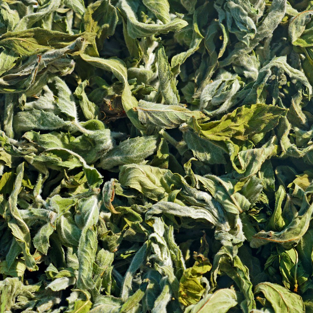 Mint Leaves - 50 gms